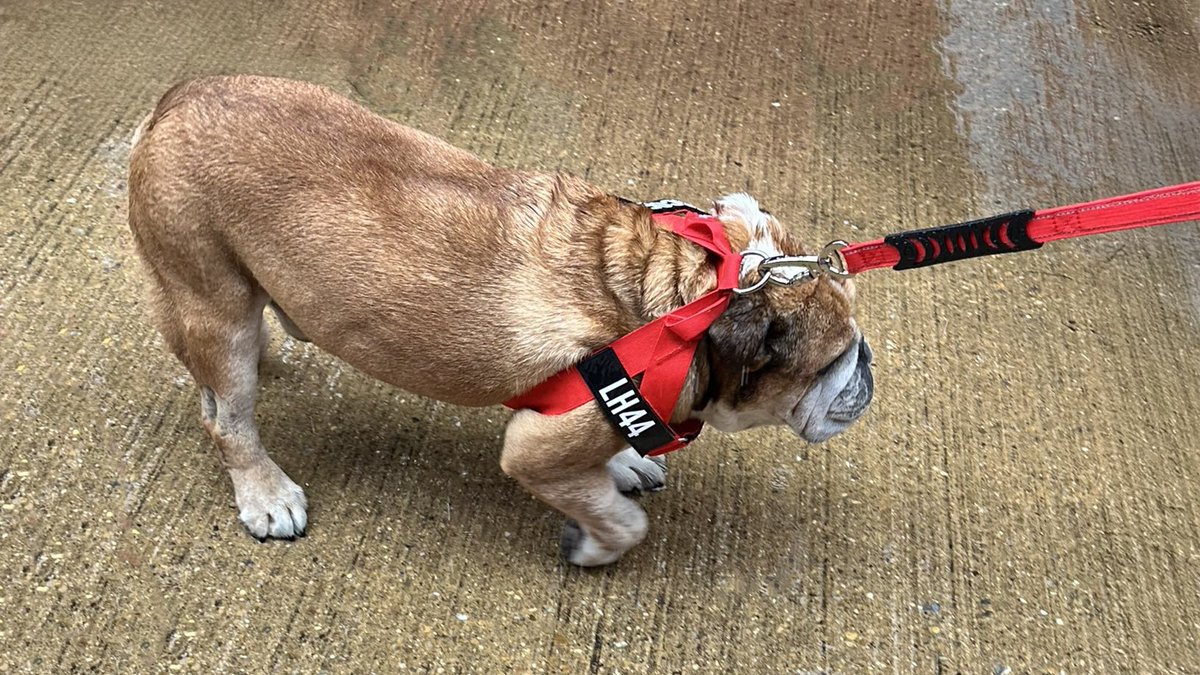 I know Roscoe… it’s the fucking age.

#BritishGP 🇬🇧 #F1