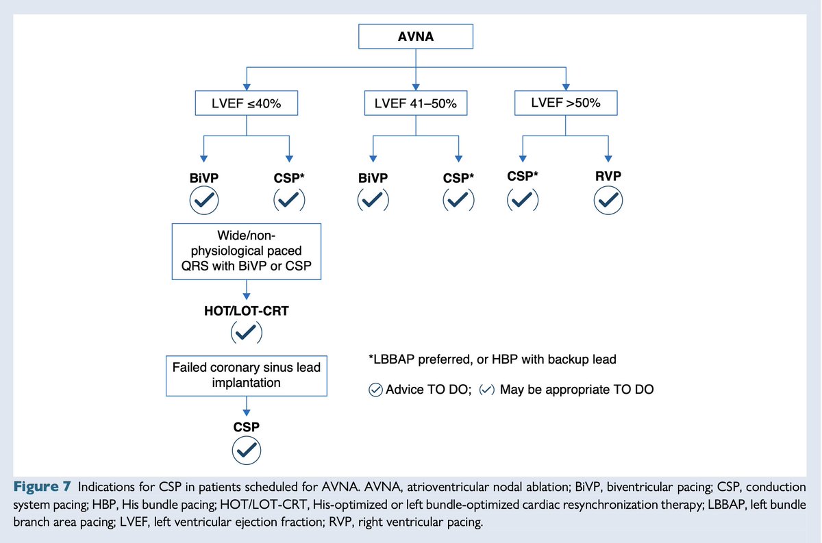 EHRAPresident's tweet image. #EHRAtopicweek
CSP in AV Node Ablation — What You Need to Know!
📊 CSP offers similar improvements in LVEF, NYHA class, QoL, and HF outcomes as BiVP — & outperforms RVP
🛠️ It also allows for simpler device setups with less hardware, making the procedure more straightforward…