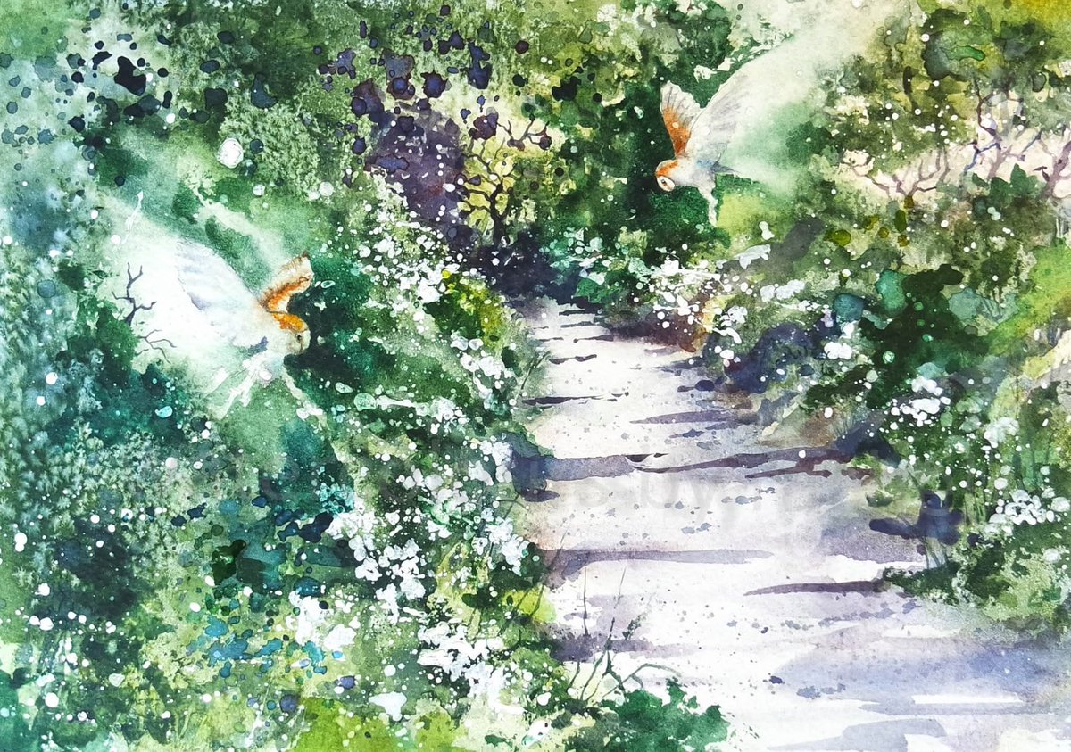 Elidanza's tweet photo. What could be better than seeing a Barn Owl ...?
Happy Sunday x
#watercolour #Devon #barnowls #wings #watercolor #summer #watercolourpainting #wildlife #devonlane #owls #birds #shadows #middevon #painting #art #paint https://t.co/8zTSSI7Yar