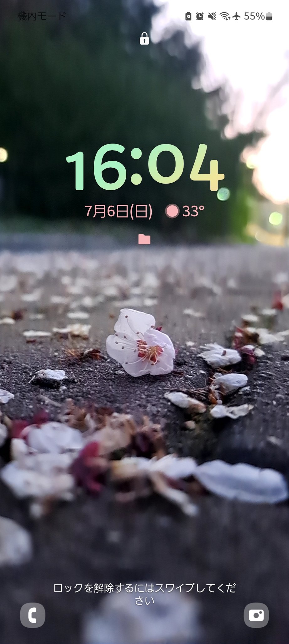 ちたま🐅🌸🌍️🥚 on X: 