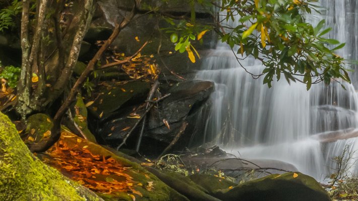 EDITORatWORK's tweet image. #declining #biodiversity Links to the NEED FOR BIODIVERSITY #climate #change #environment #science #BillNye #ecology #plantingtrees
tom-gillispie.blogspot.com/2022/10/bio.ht…