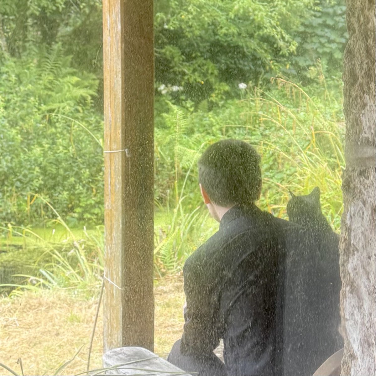 sarahmcquaid's tweet photo. #Rainyday in the valley …. Badly needed, too! #nightshine #cat #rain #watchingtherain #catwatchingtherain #cornwall #kernow
https://t.co/H2Z6iAn5q4 https://t.co/zNrUrQVcae