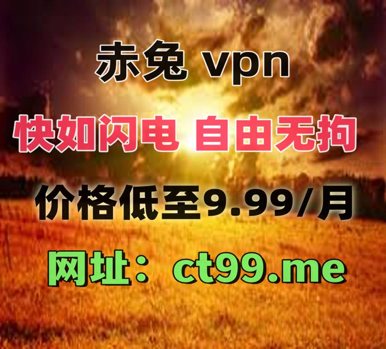 VPN加速器翻墙软件梯子 tweet media
