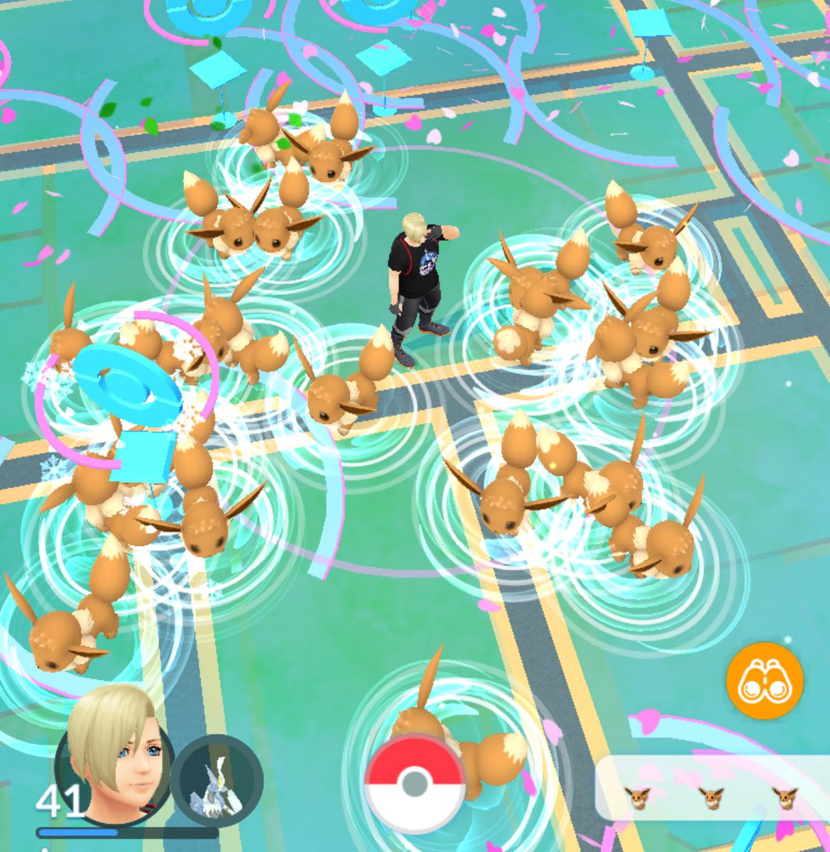 イーブイガーデン🤔