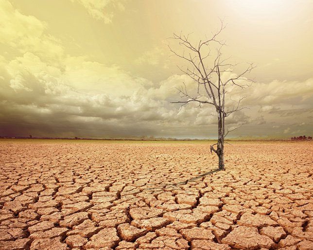 before bonk and jupiter