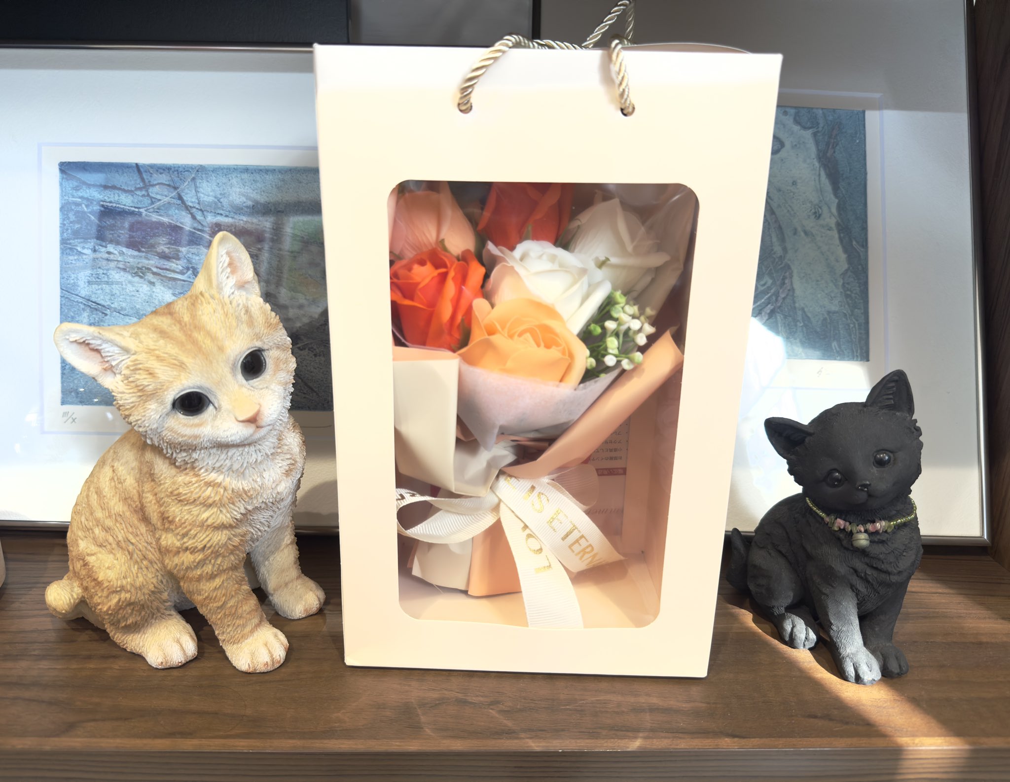 フォーティーフローラ　猫　2個セット　三金さま専用 ネコポス(同梱不可)】ピュリナ プロプラン ベテリナリー
