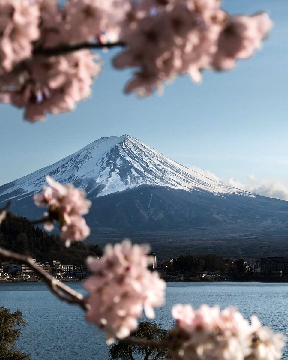 Mount Fuji, Japan 🌸