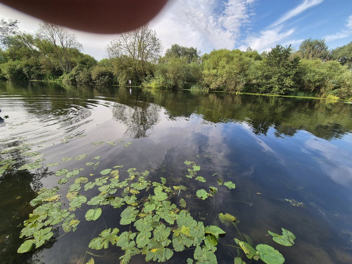 Chris Parkhouse DL (@chrisdeytonbell) on Twitter photo Delighted to be in Huntingdon on duty as <a href="/BritishRowing/">British Rowing</a> umpire today. Perfect conditions for @Huntingdonbc Regatta. Looking forward to a great day of competition. More rowing in Cambridgeshire – wonderful! Delighted to be in Huntingdon on duty as <a href="/BritishRowing/">British Rowing</a> umpire today. Perfect conditions for @Huntingdonbc Regatta. Looking forward to a great day of competition. More rowing in Cambridgeshire – wonderful!