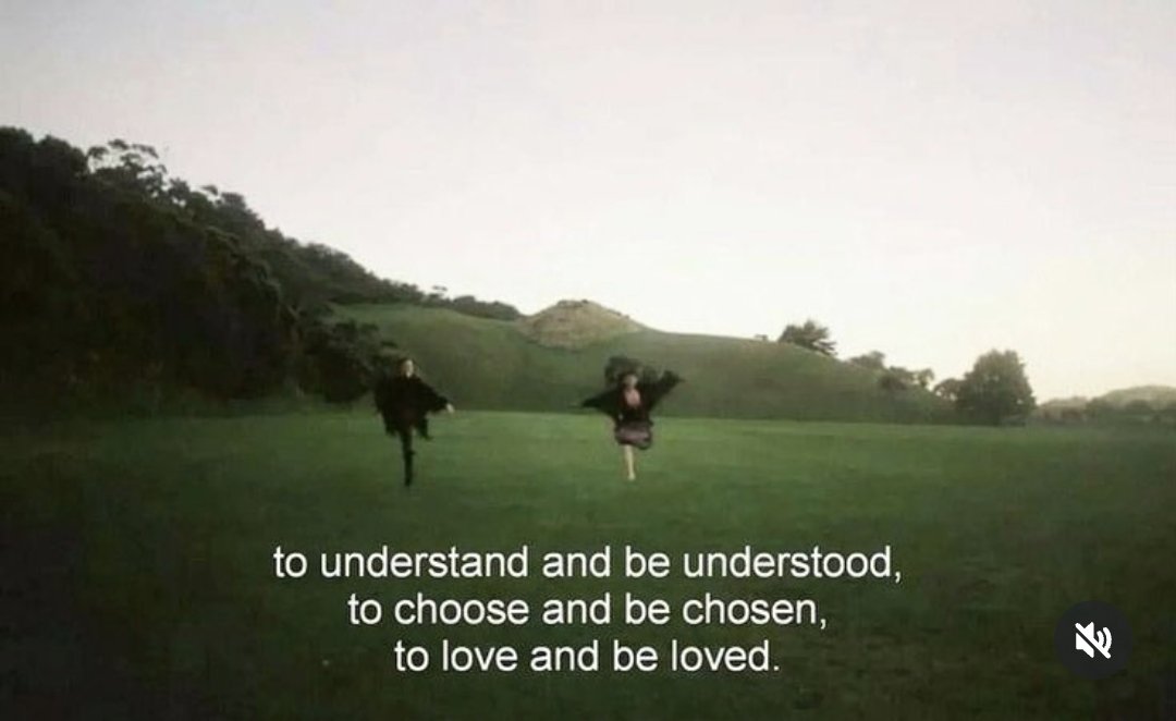 Synexdoche (@amor_fatti) on Twitter photo 