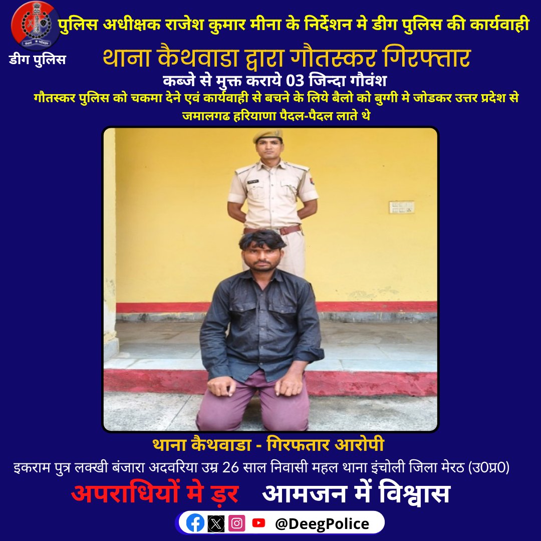पुलिस अधीक्षक राजेश कुमार मीना के निर्देशन मे #डीग पुलिस की कार्यवाही

थाना #कैथवाडा द्वारा गौतस्कर गिरफ्तार

कब्जे से मुक्त कराये 03 जिन्दा गौवंश

गौतस्कर पुलिस को चकमा देने एवं कार्यवाही से बचने के लिये बैलो को बुग्गी मे जोडकर उत्तर प्रदेश से जमालगढ हरियाणा पैदल-पैदल लाते थे