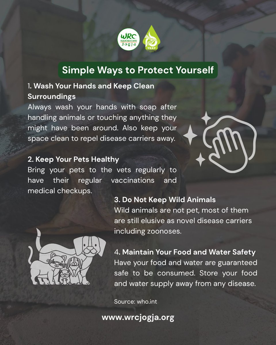 WRC__jogja's tweet photo. On #WorldZoonosesDay, let’s remember: diseases can pass from animals to humans. Simple steps like hygiene &amp; safe practices help protect us all.
#Zoonoses #ProtectOurWorld https://t.co/Me60mJawhj