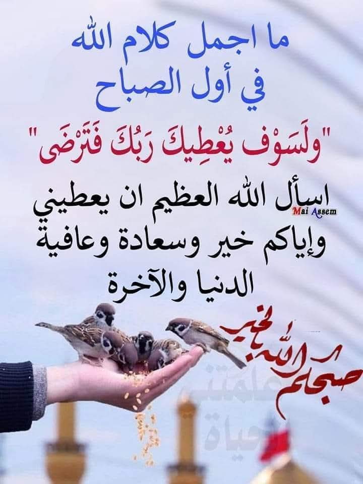 عيون المها 🇮🇶 (@_hztt) on Twitter photo 
