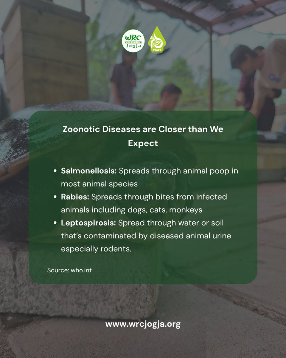 WRC__jogja's tweet photo. On #WorldZoonosesDay, let’s remember: diseases can pass from animals to humans. Simple steps like hygiene &amp; safe practices help protect us all.
#Zoonoses #ProtectOurWorld https://t.co/Me60mJawhj