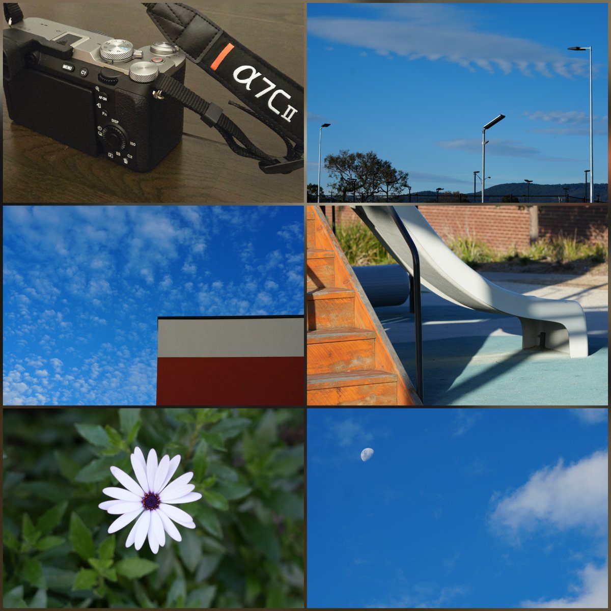 GM friends, happy Sunday fun day ☕️🏖

"Stay curious—every lesson learned is a step toward a wiser, brighter you."

This weekend I got to try out my new camera. These are raw and unedited photos. Please don't judge me 🙏 I'm still learning all the new features 😄😅