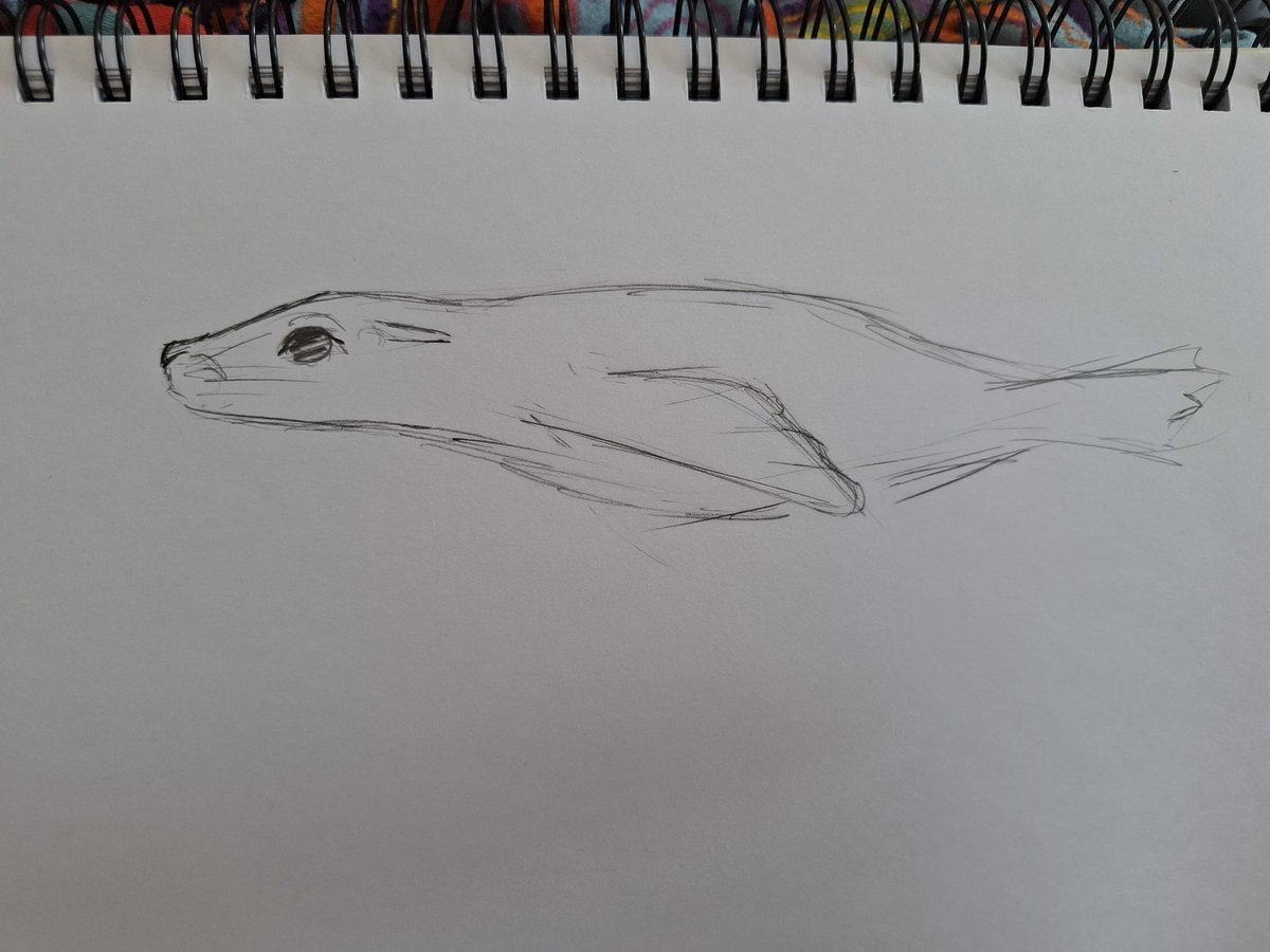 CelestialHowls's tweet image. shitty animal skecthes i made at the zoo 
#sketch