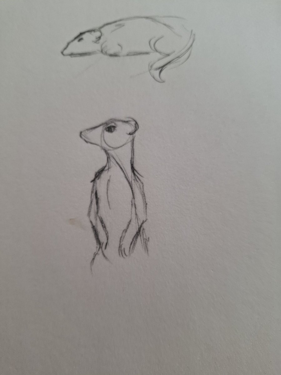 CelestialHowls's tweet image. shitty animal skecthes i made at the zoo 
#sketch