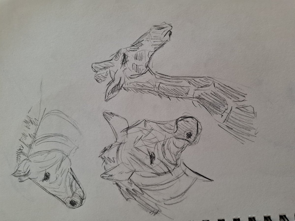 CelestialHowls's tweet image. shitty animal skecthes i made at the zoo 
#sketch