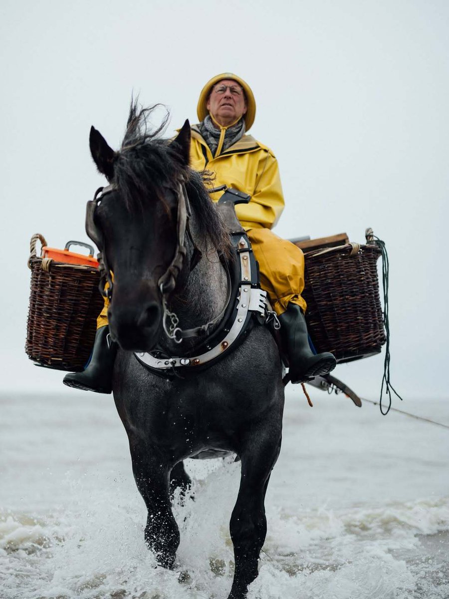 Gueuleton tweet media