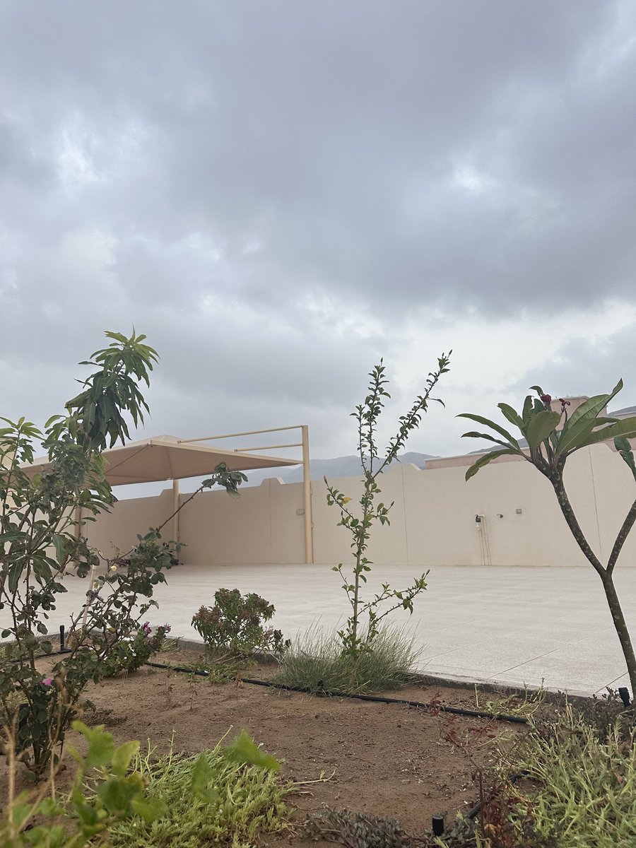 صباح الاجواء الجميلة 🌥️🩷

 #صباحيات