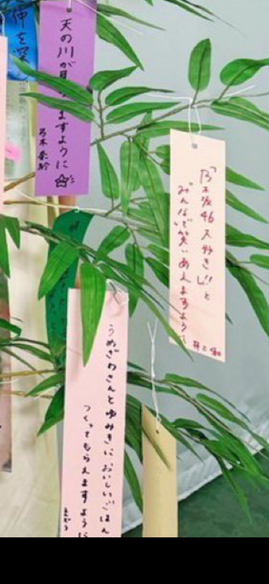 桜♥他の方ご遠慮ください あの頃イイ感じだった女子たちと同じクラスになりました 2