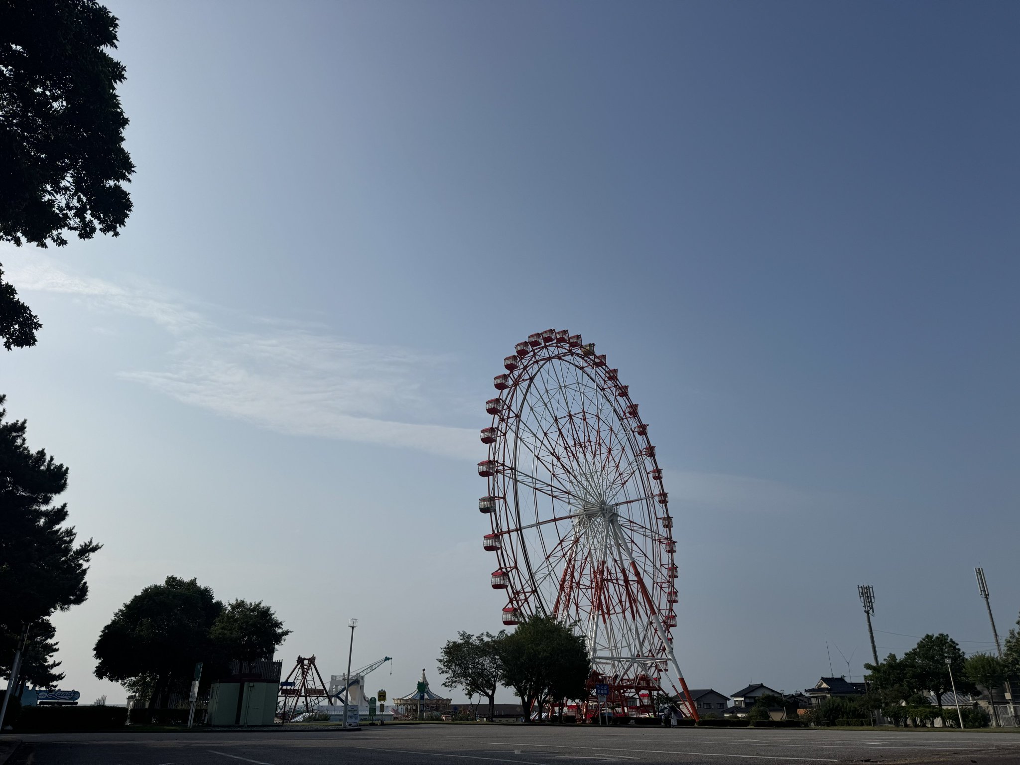 鳩ッション（大） 鳩ぽっぽ🇯🇵 | 黒目ちゃん？ 最近ちょっと威張ってるんです