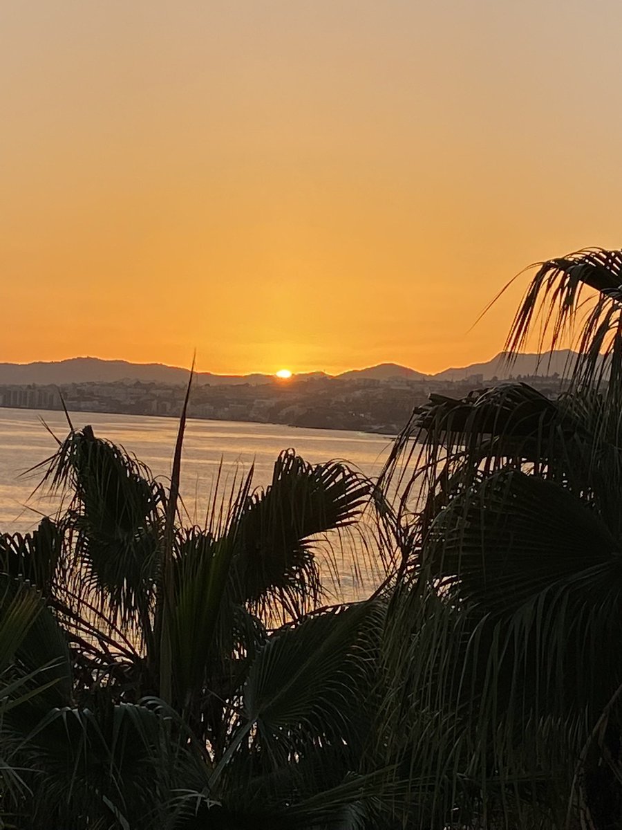 readingcs's tweet image. 