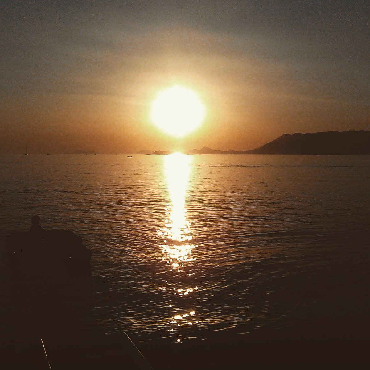 readingcs's tweet image. 