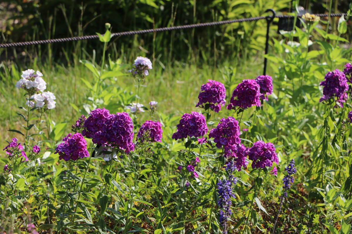 海の中道海浜公園 on X