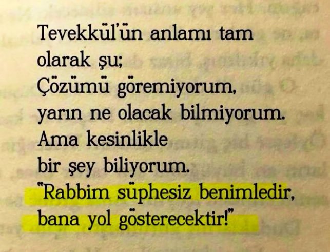 Monna Rosa (@ayaserenat) on Twitter photo 