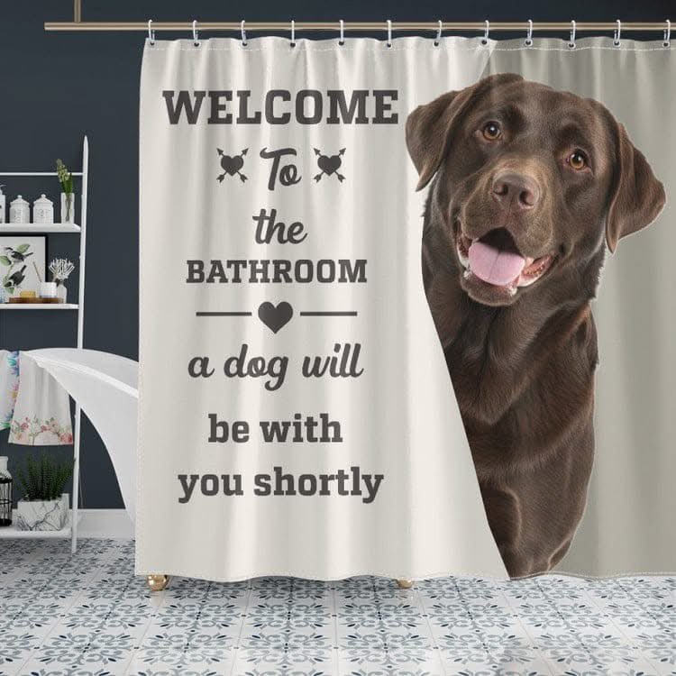 Courtesy to our guests 🤣