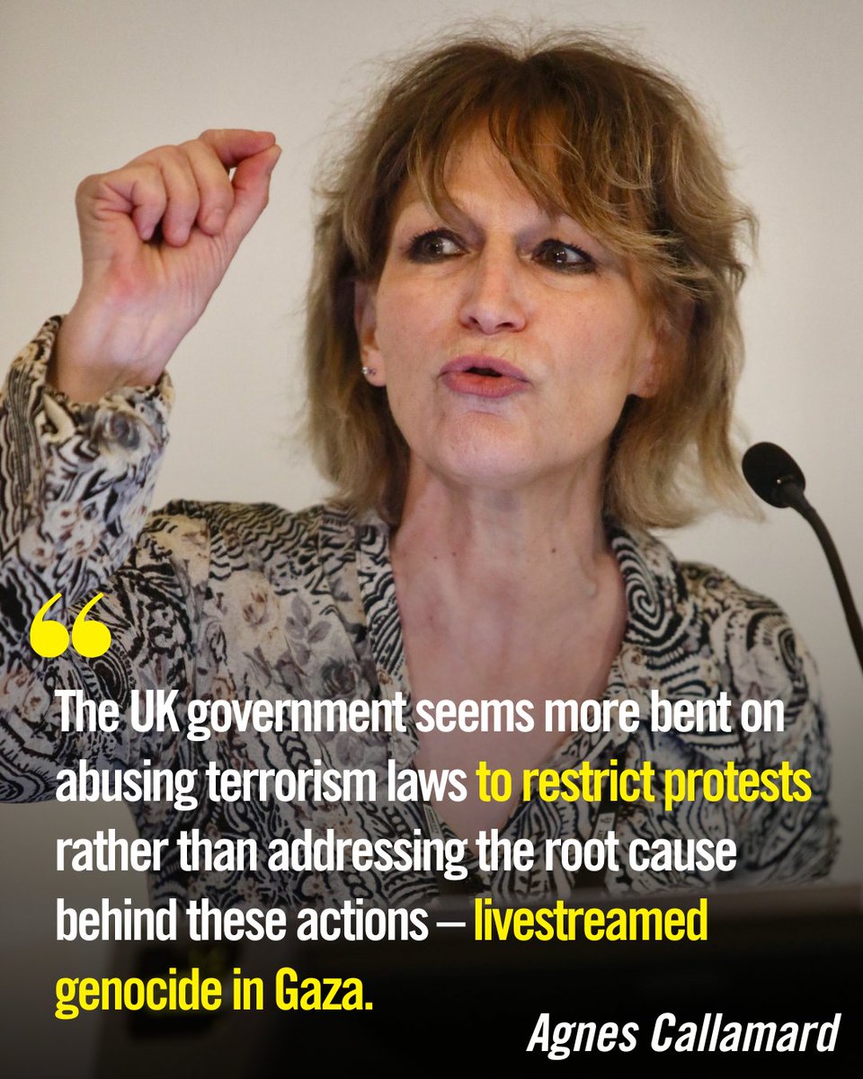 The UK government is targeting protestors for speaking out for Palestinian rights. 

The Secretary General of @Amnesty International, Agnes Callamard, spoke about the UK’s repressive measures at Amplify – Amnesty UK’s National Conference.