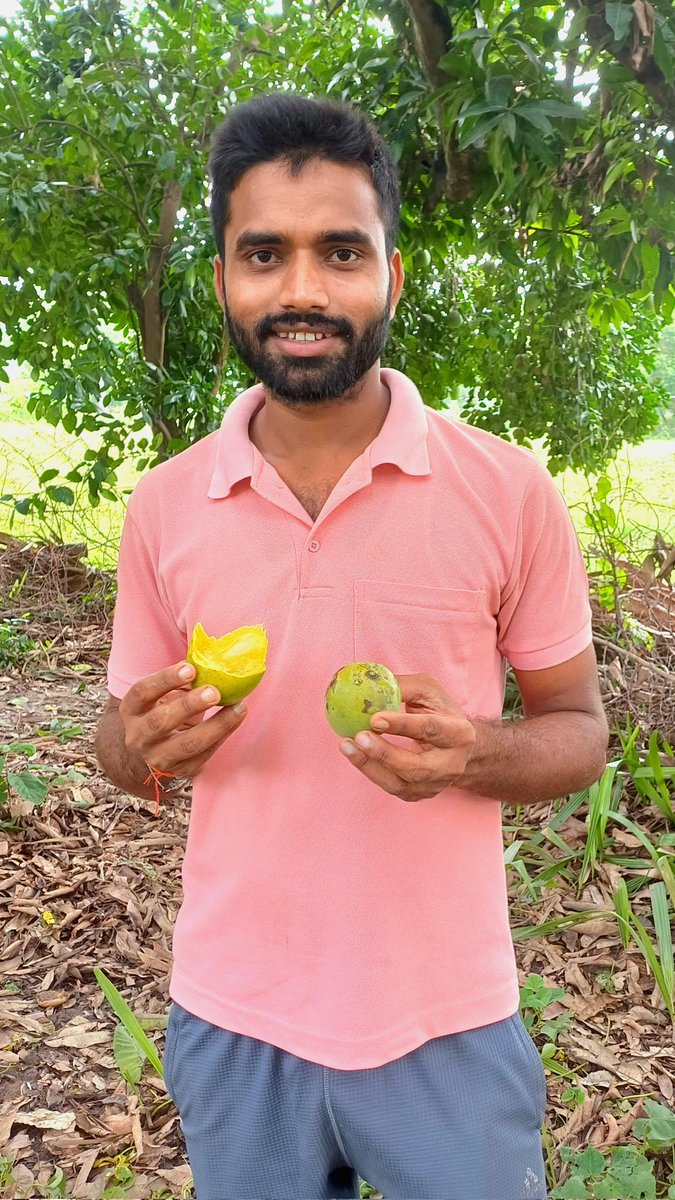 बाजार के आम में वो बात कहां, जो अपना देशी आम में है,
"बाजार के चमकते आम सिर्फ दिखावे के हैं, असली रस तो अपने देसी आम के बग़ीचे से आता है!" 🥭🏝