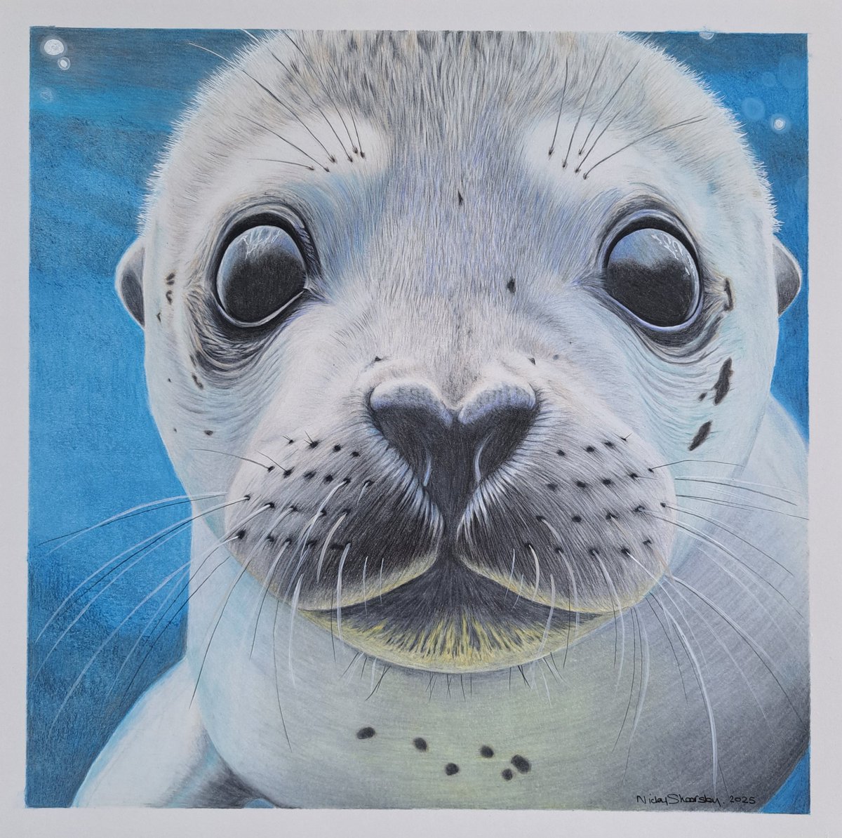 I think I'll call this piece...Bright Eyes.
