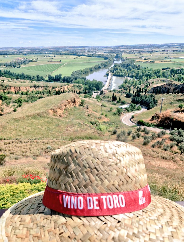 La fértil y hermosa Vega del Duero
No es un cuadro, no es una foto... es nuestro patrimonio, es real, y podemos disfrutar de verlo, sentirlo, y recorrerlo día a día.
Este es nuestro mayor tesoro que compartimos con todos los que vienen a visitarnos.
<a href="/CyLEsVida/">Turismo Castilla y León</a> 
<a href="/ZamoraSpain/">Turismo en Zamora</a>
