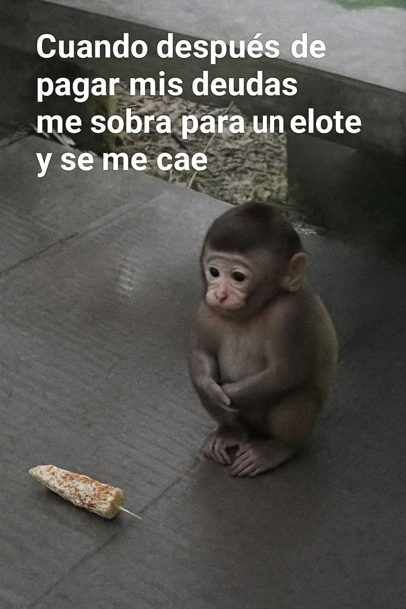 En Júpiter (@en_jupiter_) on Twitter photo 