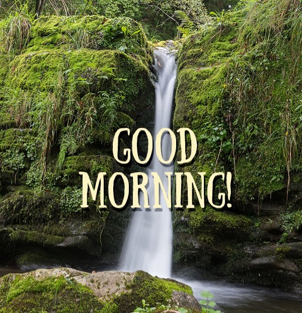 FrannyReilly's tweet image. Morning you lovely people around the world 馃憢 鈽曪笍 馃審
It's a dull,grey start to the day here in Fife 馃寠 馃彺鬆仹鬆仮鬆伋鬆仯鬆伌鬆伩 but at least it's dry 鈽侊笍
Hope your having a great weekend whatever your doing 馃彙 馃泹 馃尋 馃コ 馃嵒 馃嵐
Have a nice relaxing Sunday 馃尋 Coffee time 鈽曪笍
Love to you all 馃槝 鉂わ笍 馃グ