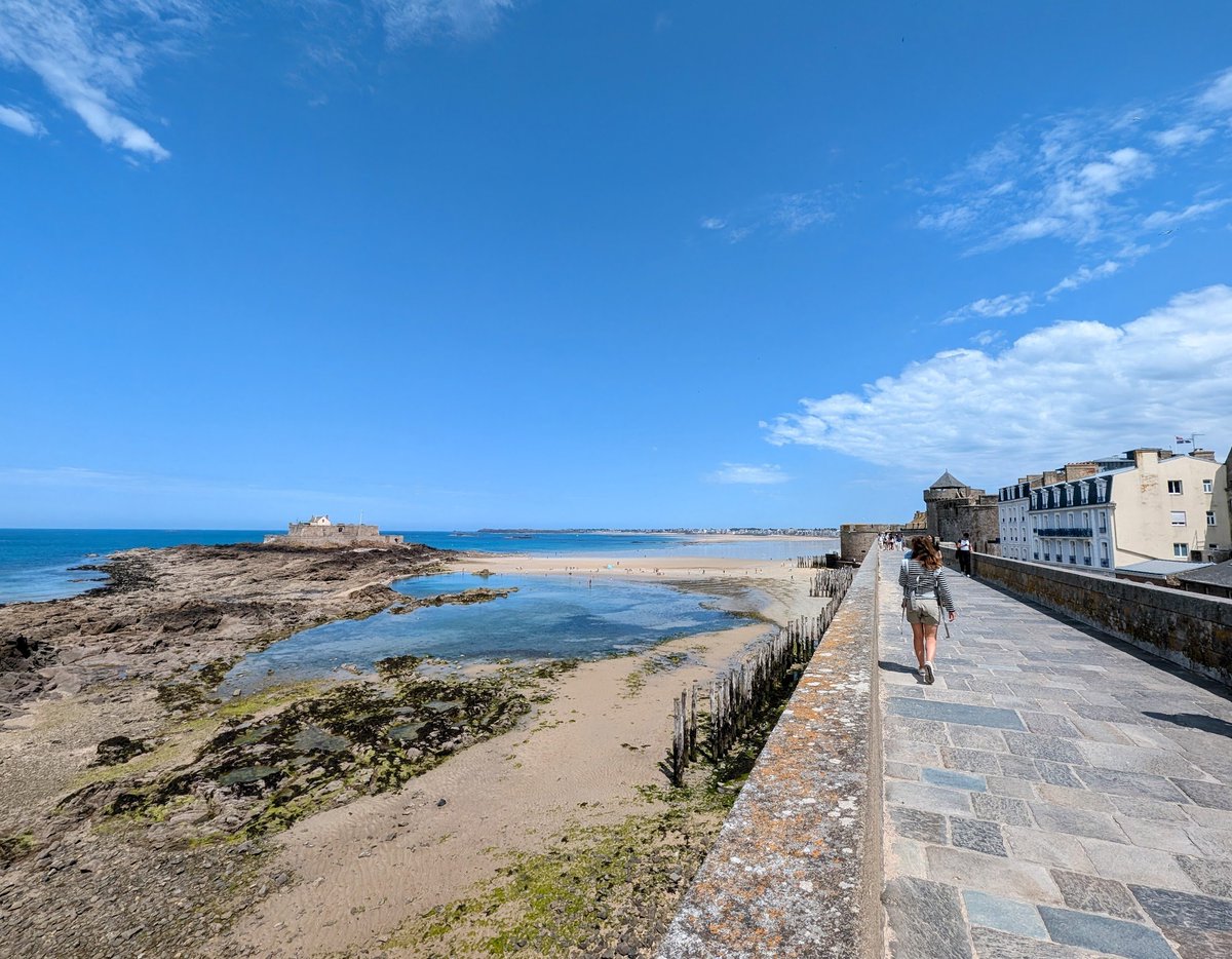 stackhodler's tweet image. Bitcoin will hit $10 million within the next 20 years.

That's 100x from here.

If you're skeptical, try to earnestly understand why very smart people believe this.

It's probably the highest ROI activity you can take right now.

And it's likely to make you financially free far…