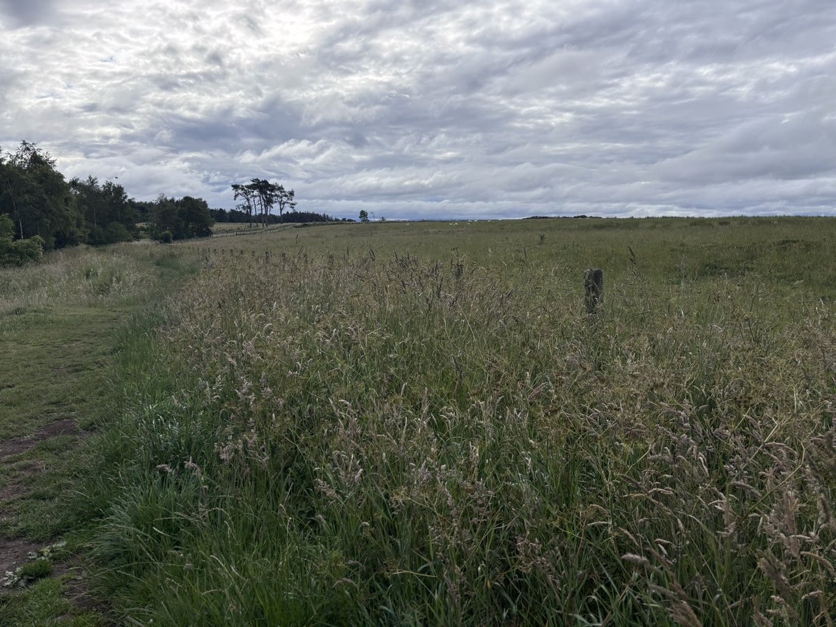 Best start to Sunday a swim and views like this.