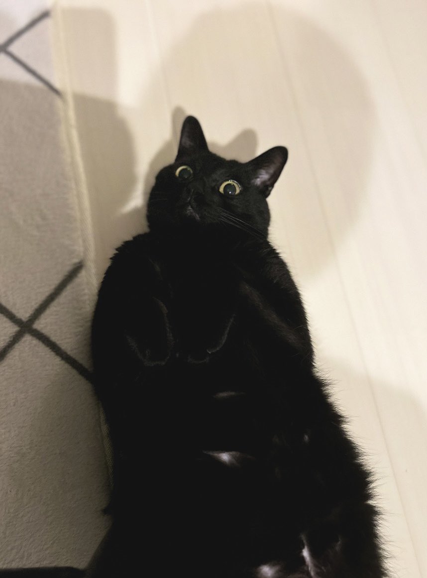 nkknrk's tweet image. それは恨めしや〜的なやつ？