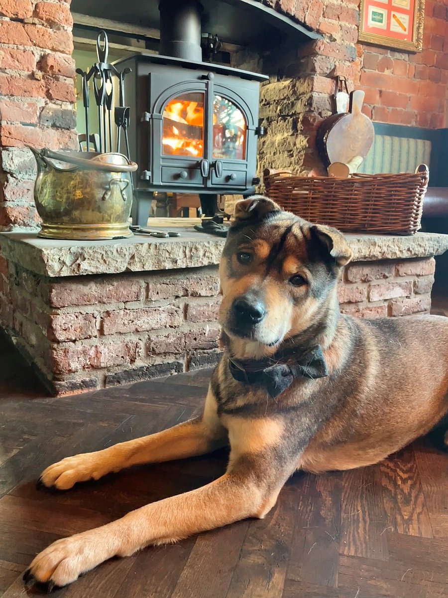 BottleGlassPub's tweet image. The best way to spend a rainy Sunday = tucking into a B&G roast with all the trimmings! π₯π₯©
Our Sunday Menu is served from 12-7pm! π΄ Come & join us on today for the best meal of the week (furry friends are welcome too πΎ)
Book your table: bit.ly/3ke9bgX