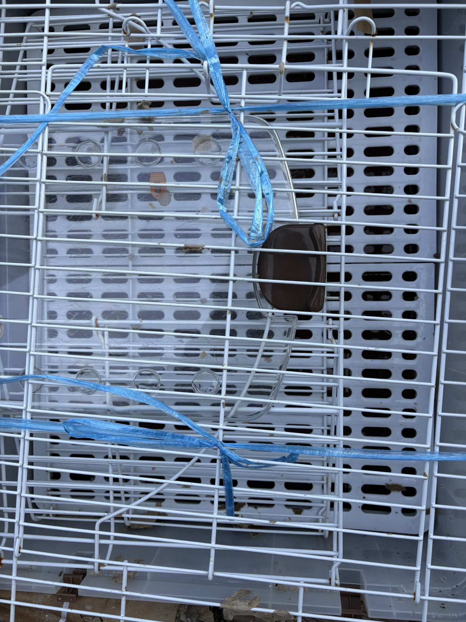 うさこ様確認専用ページ❷ うさこ様確認専用ページ【取り置き中 7月20日迄】 - メルカリ
