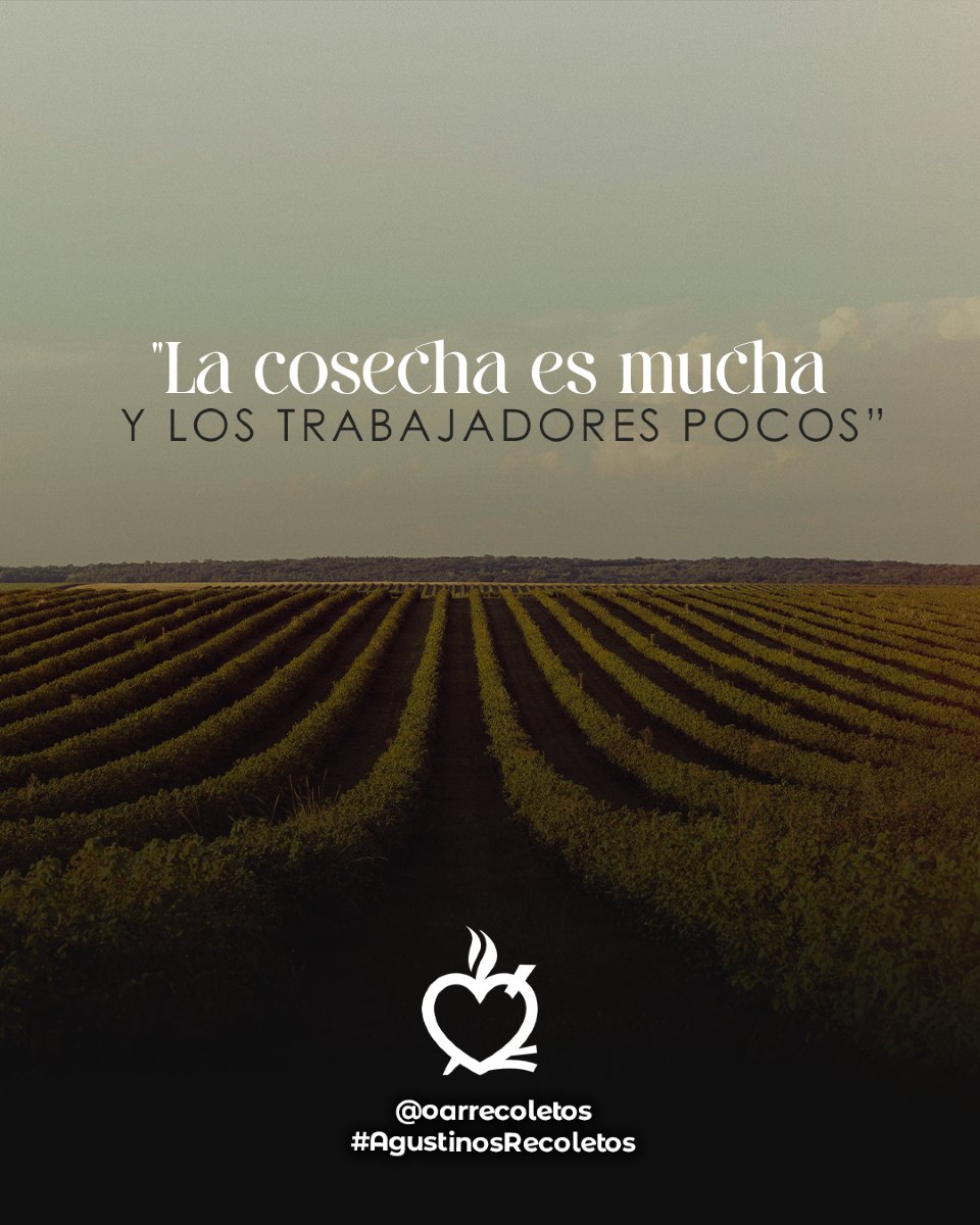 “La cosecha es mucha, pero los trabajadores son pocos.”

Jesús envía a setenta y dos discípulos a anunciar la llegada del Reino, sin equipaje, sin seguridades, llevando solo la paz y la fuerza de su Palabra. Los manda como corderos en medio de lobos, con un mensaje que sana y