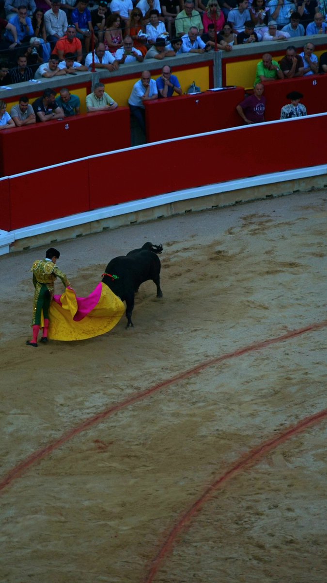 ElToroIntegro's tweet image. 