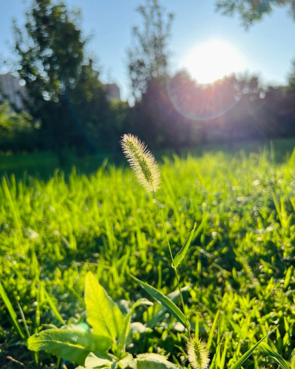 OS
#openseatouchgrass