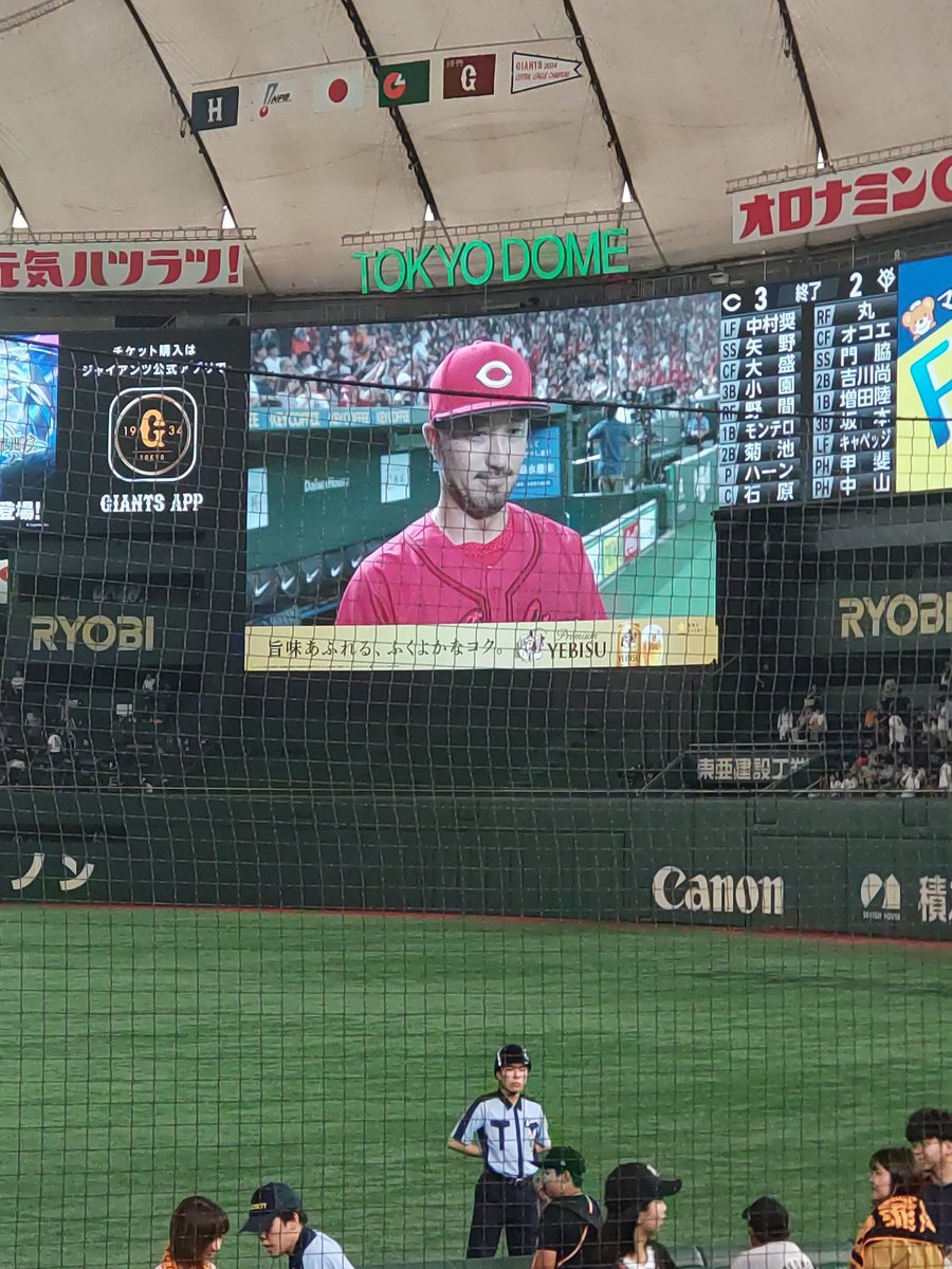Dr4Ju's tweet image. こいほー😆😆菊さーん🙌🙌🙌
＃carp