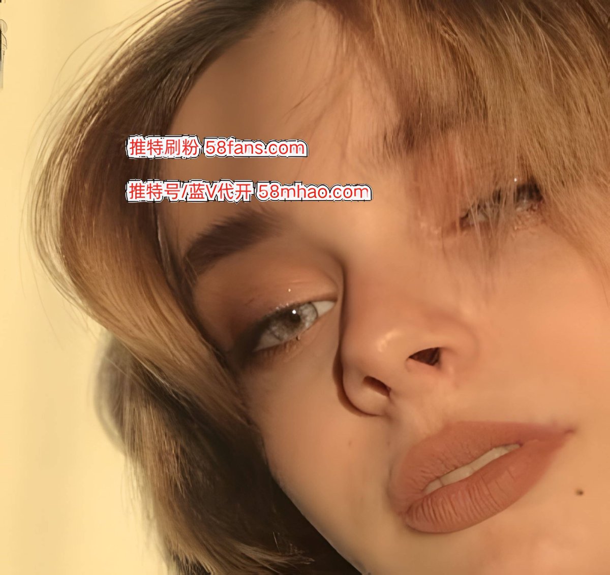 推特刷粉 tweet media