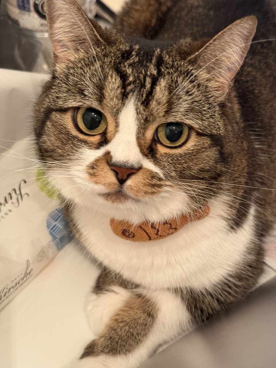 AVが滅亡するとしたら何最後みるの