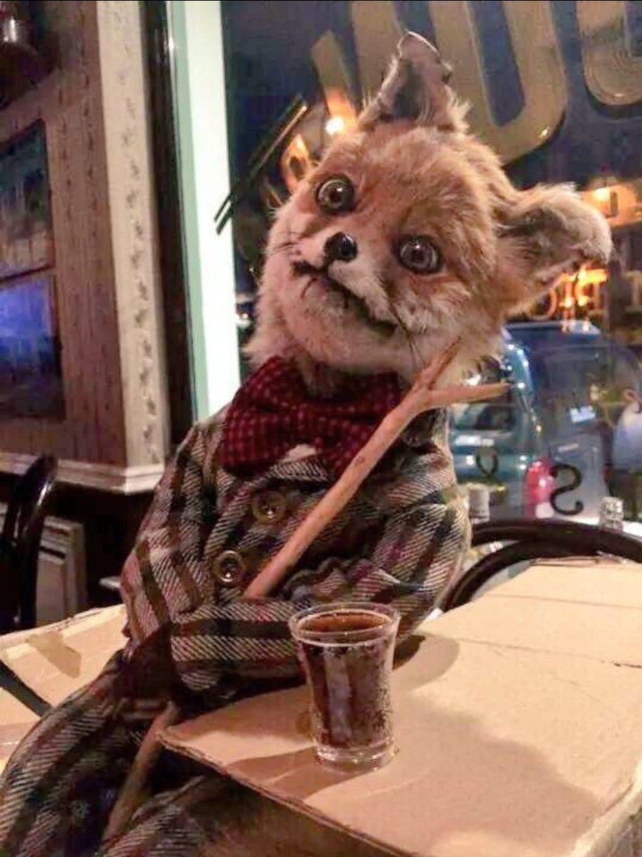 CrapTaxidermy's tweet image. When you're on holiday and you realise that if you lost your job, you'd probably become an alcoholic...