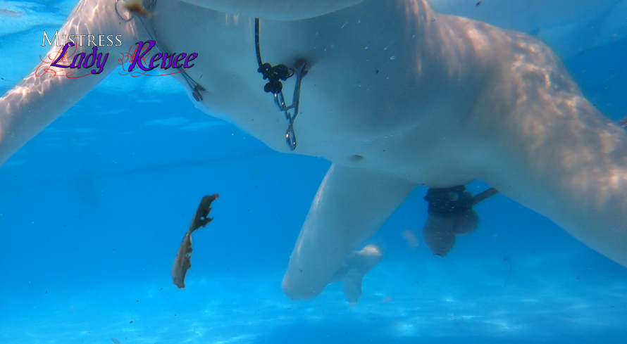 Mistress Lady Renee (@ladyrenee_) on Twitter photo 