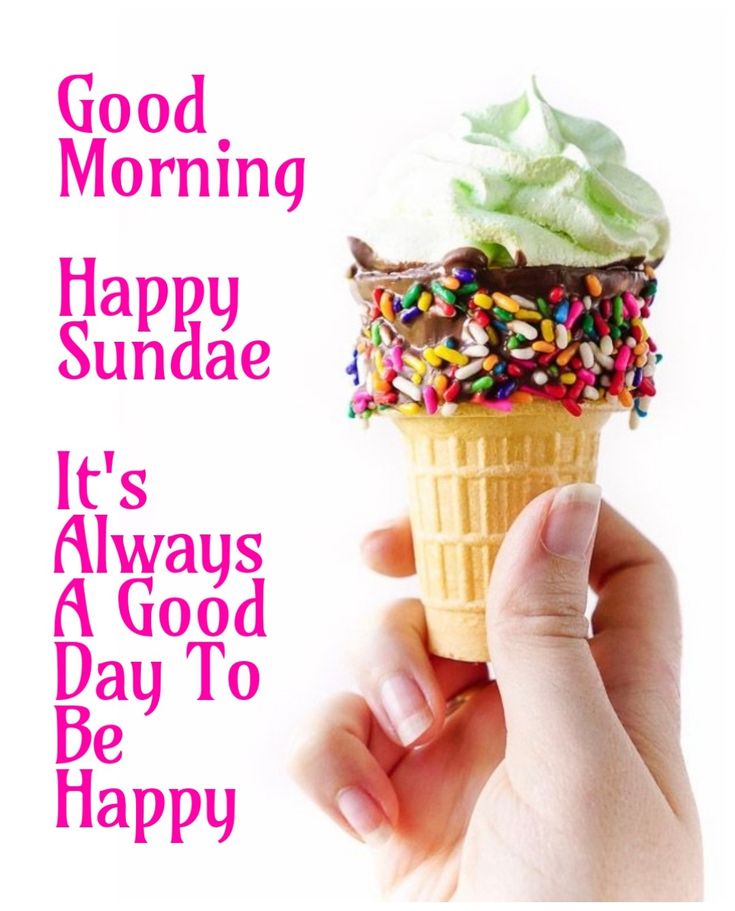 NicholasKocis1's tweet image. Good morning everyone. Happy Sunday ๐. Hope you all are enjoying the weekend. Hope everyone has slept well and had breakfast ๐ฅ๐ณ and are doing well. Enjoy the rest of the day ๐โ๐๐.